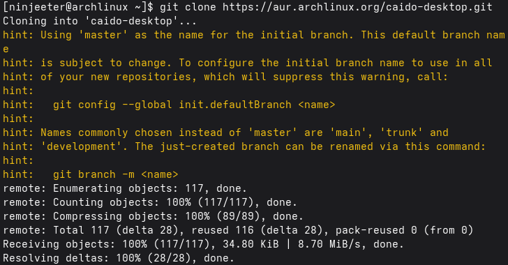Linux AppImage Caido download.