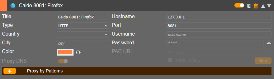 FoxyProxy configuration for port 8081.