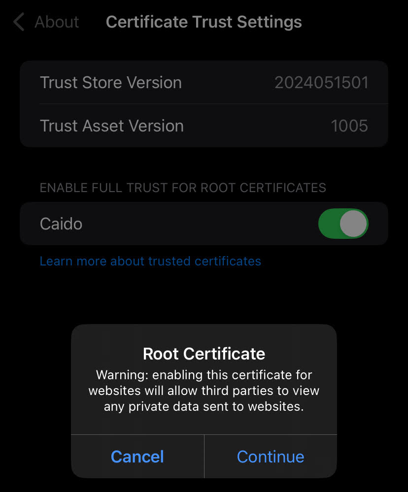 Trusting Caido's CA certificate in iOS.