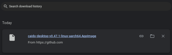 Linux AppImage Caido download.